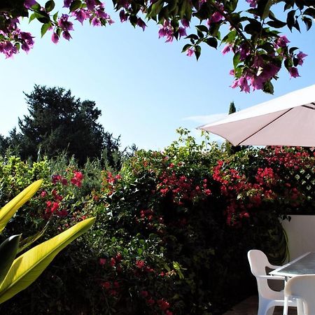 Townhouse In Paradise Gardens Paphos Kültér fotó